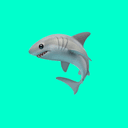 SharkScout